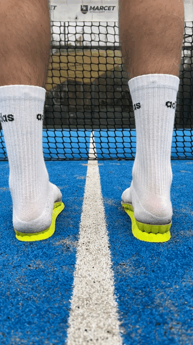 Plantillas Deportivas Impact +